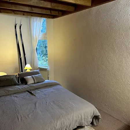 Appartement Grand Triplex Sur Les Pistes
